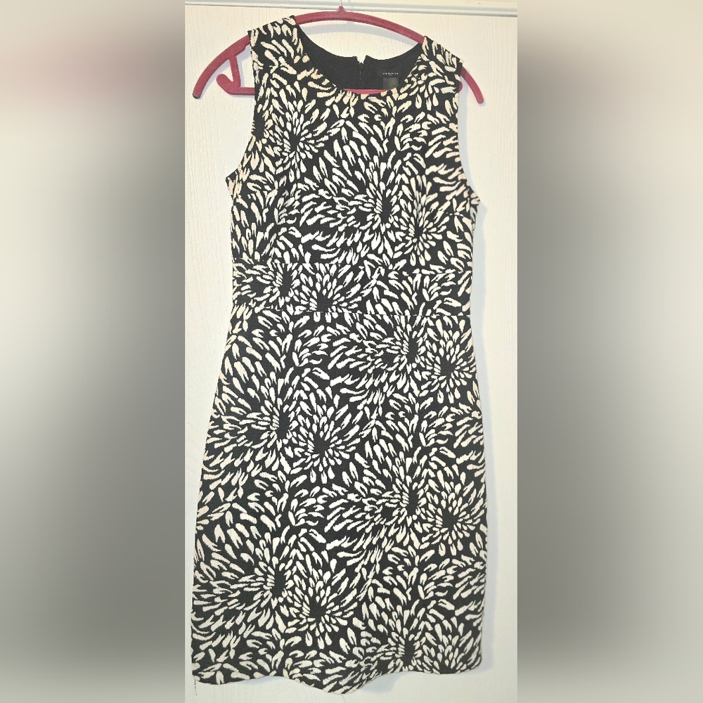 Ann Taylor Floral Black and White Dress